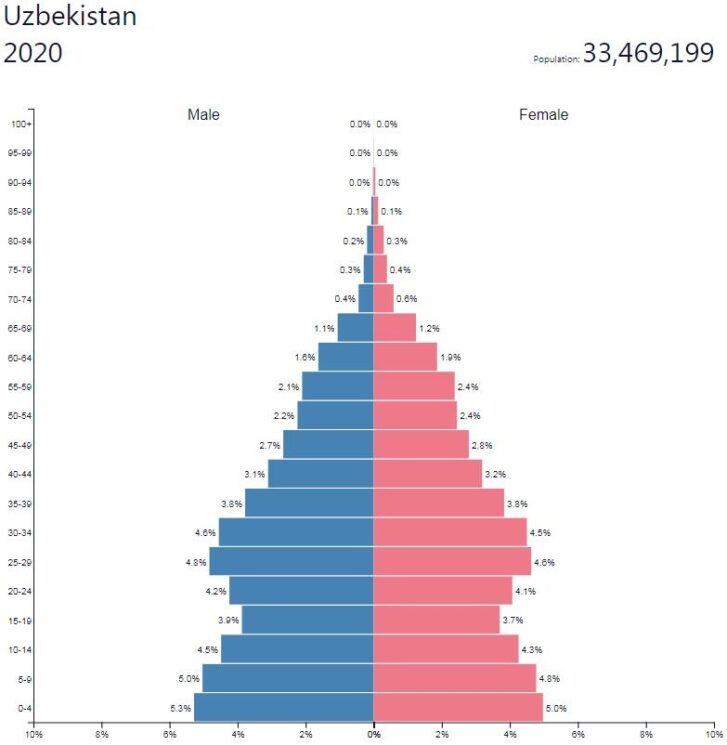 Uzbekistan Population Pyramid