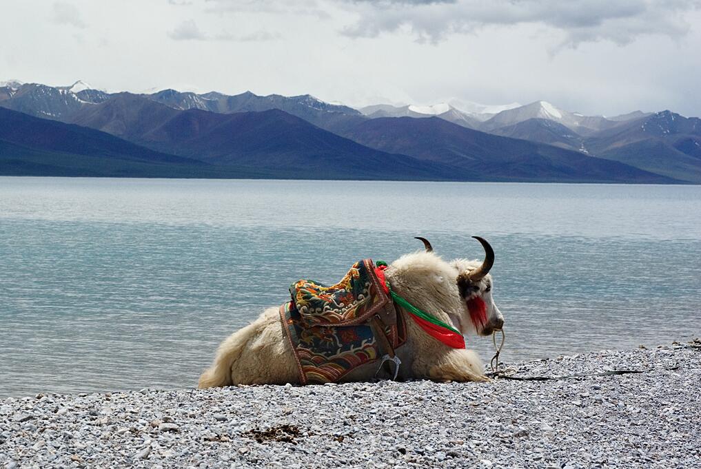 Nam Co Lake in Tibet China