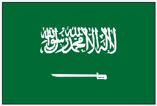 SAUDI ARABIA State Flag